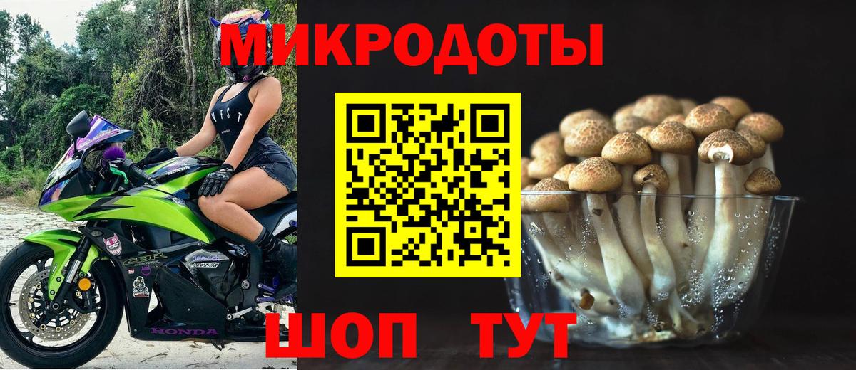 Галлюциногенные грибы GOLDEN TEACHER  Вход с VPN  Аша 