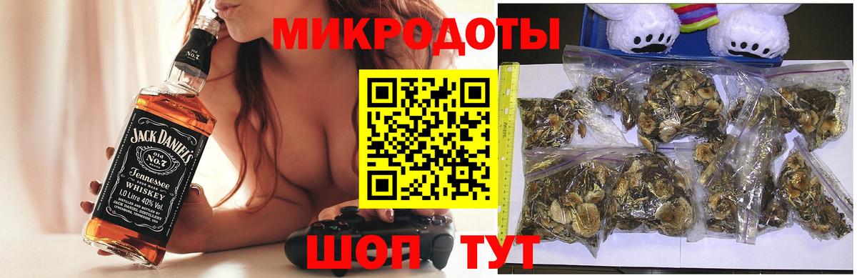 Псилоцибиновые грибы GOLDEN TEACHER Аша